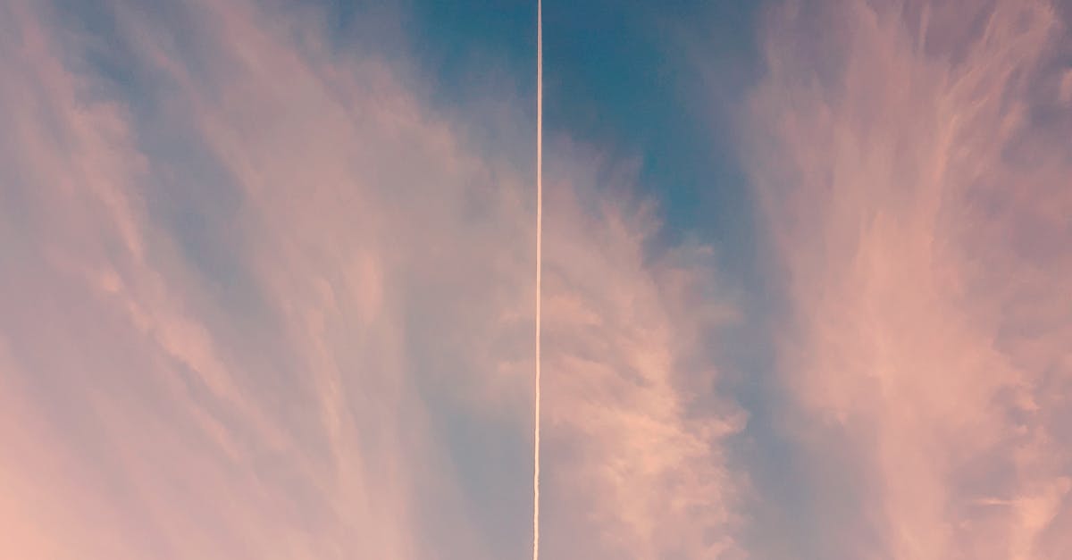 Cromer, <a href=new-south-wales.html class='text-primary'>New South Wales</a>