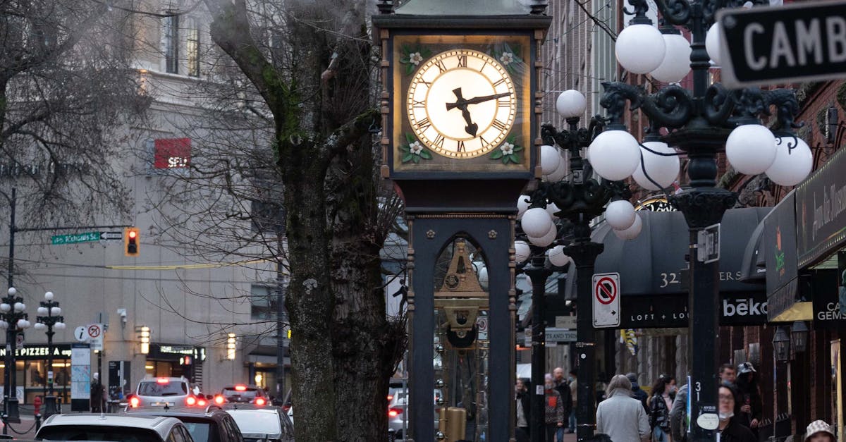 Frenchs Forest, <a href=new-south-wales.html class='text-primary'>New South Wales</a>