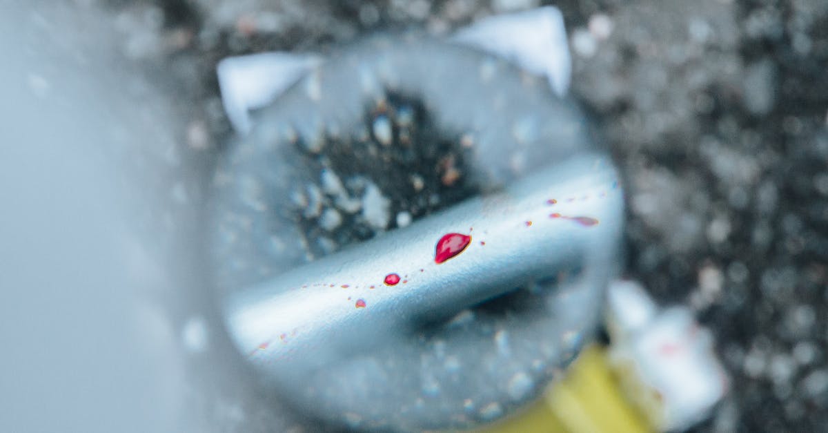 How do water companies check for leaks?