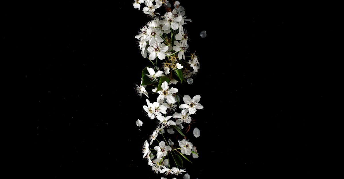 Port Macquarie, <a href=new-south-wales.html class='text-primary'>New South Wales</a>