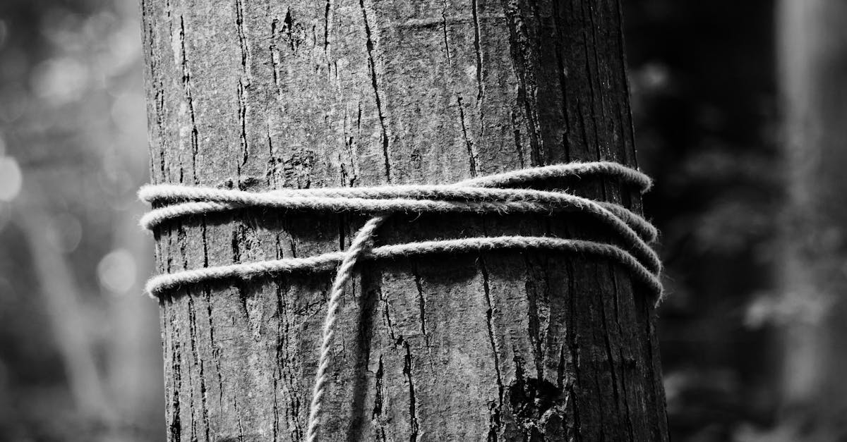 What type of pipe for a gas line?