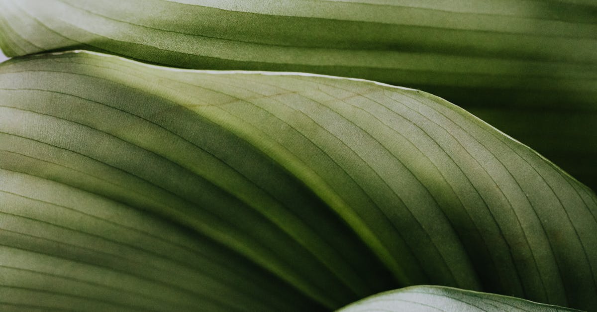 What type of pipe is used for natural gas lines?