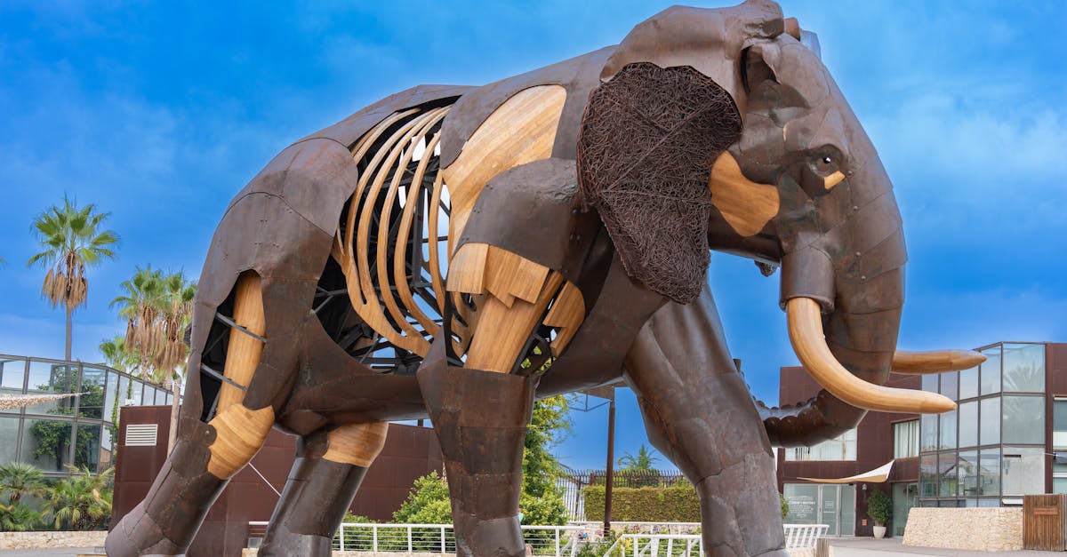 Where is my gas meter in NSW?