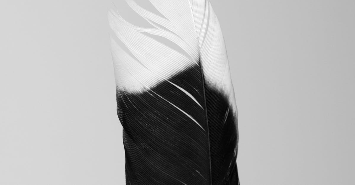 Which gas pipe is best for home?